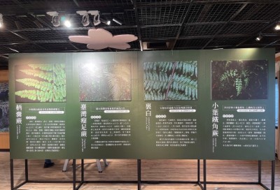 展覽以平面影像方式介紹園區蕨類植物特性及蕨類在園區內位置，讓民眾可以來一場阿里山蕨類知性之旅