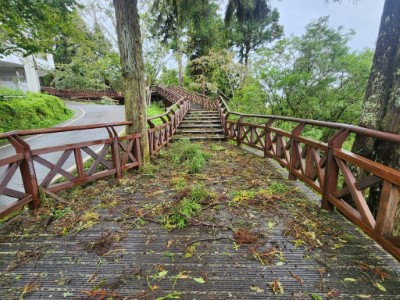 受海葵颱風影響，阿里山國家森林遊樂區內林木枝葉遭風雨打落
