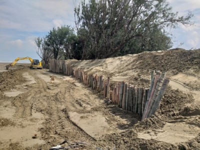 林業保育署嘉義分署打設的定砂木樁、竹柵及回填太空包
