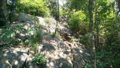 龍麟山步道山脊線上奇石相連，猶如蟠龍攀附在山稜脊背上