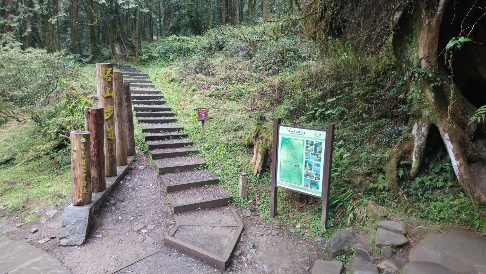 塔山步道一隅-步道入口