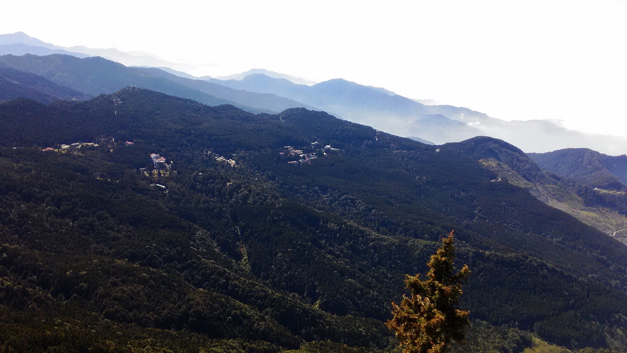 塔山步道一隅-遠眺阿里山國家森林遊樂區