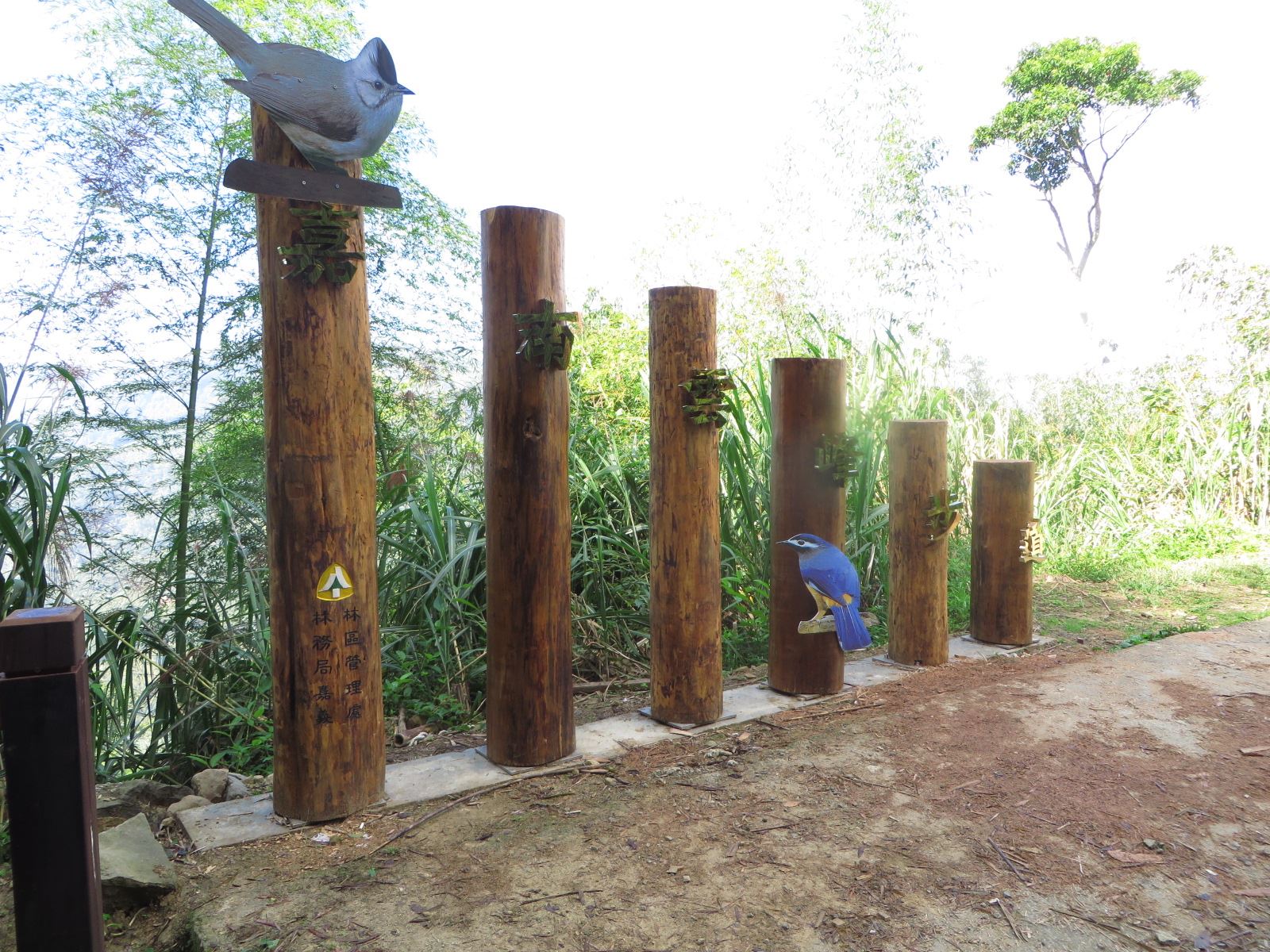 嘉南雲峰步道一隅-步道入口