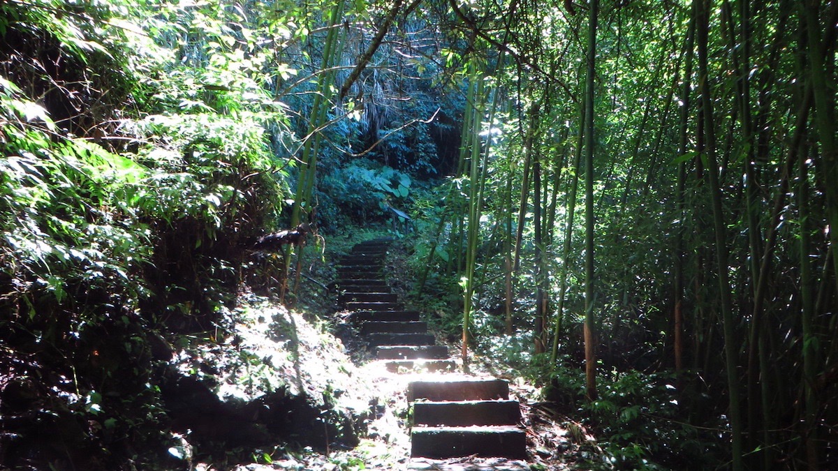 嘉南雲峰步道一隅