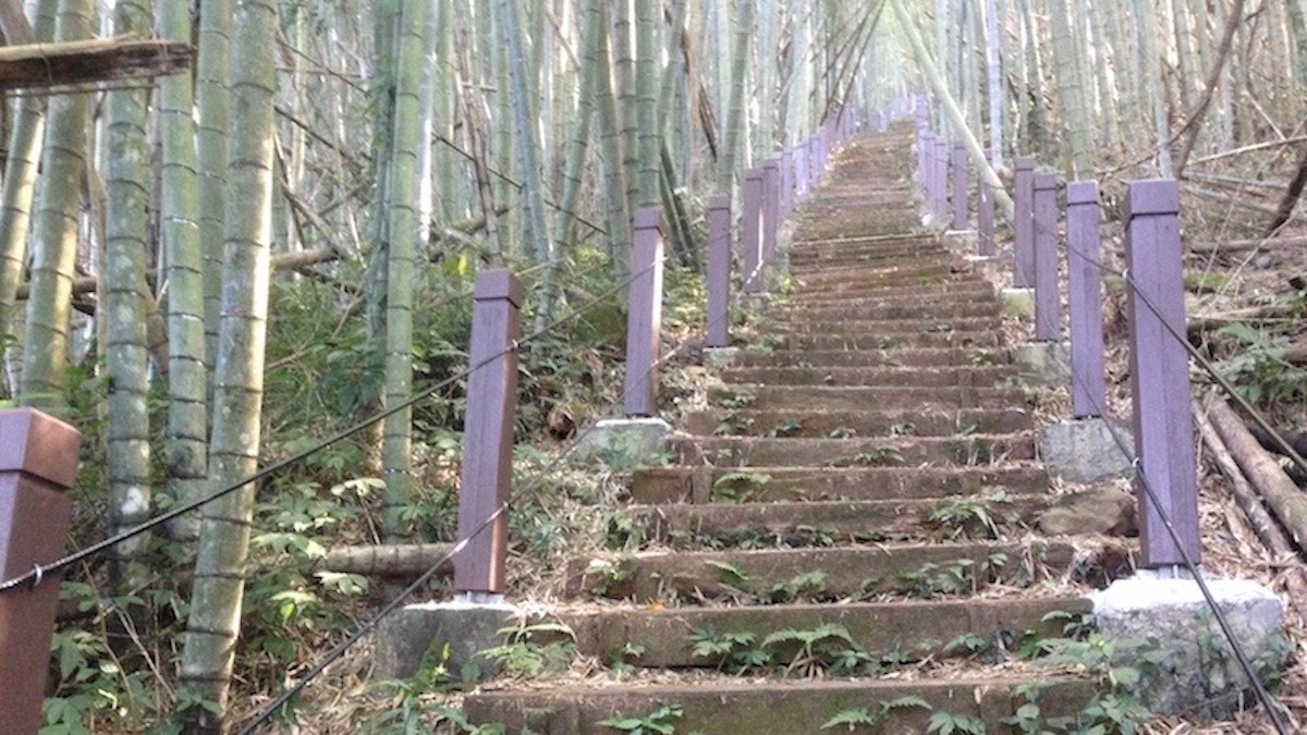 瑞太古道一隅-竹林中的步道