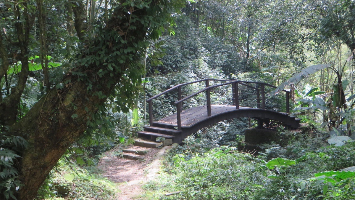四大天王山步道一隅-小橋