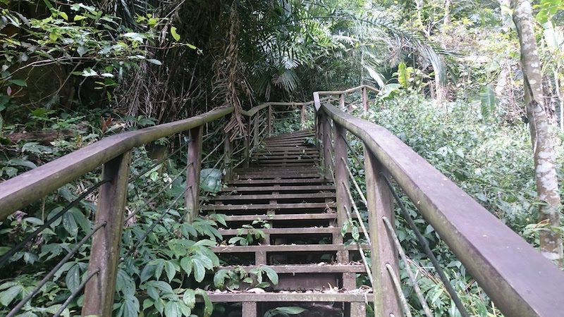 步道一景-階梯