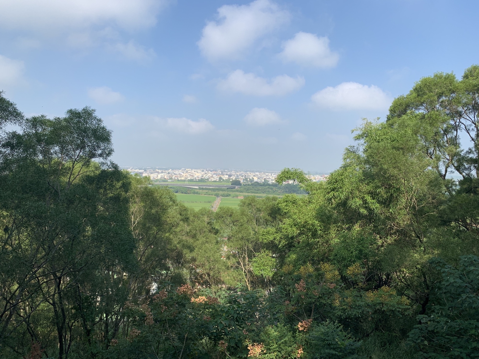 鎮南宮步道一隅-遠眺嘉南平原