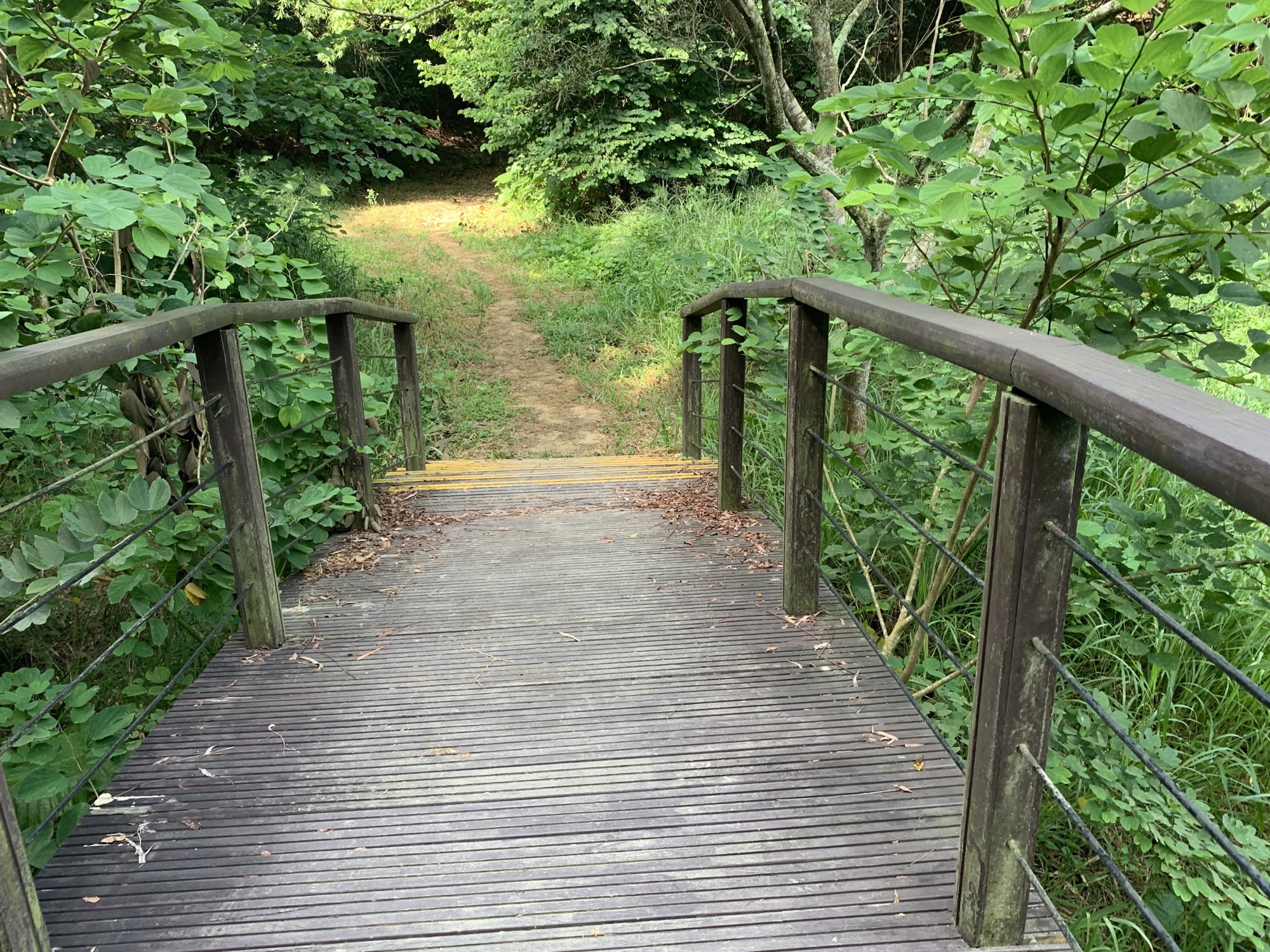 鎮南宮步道一隅