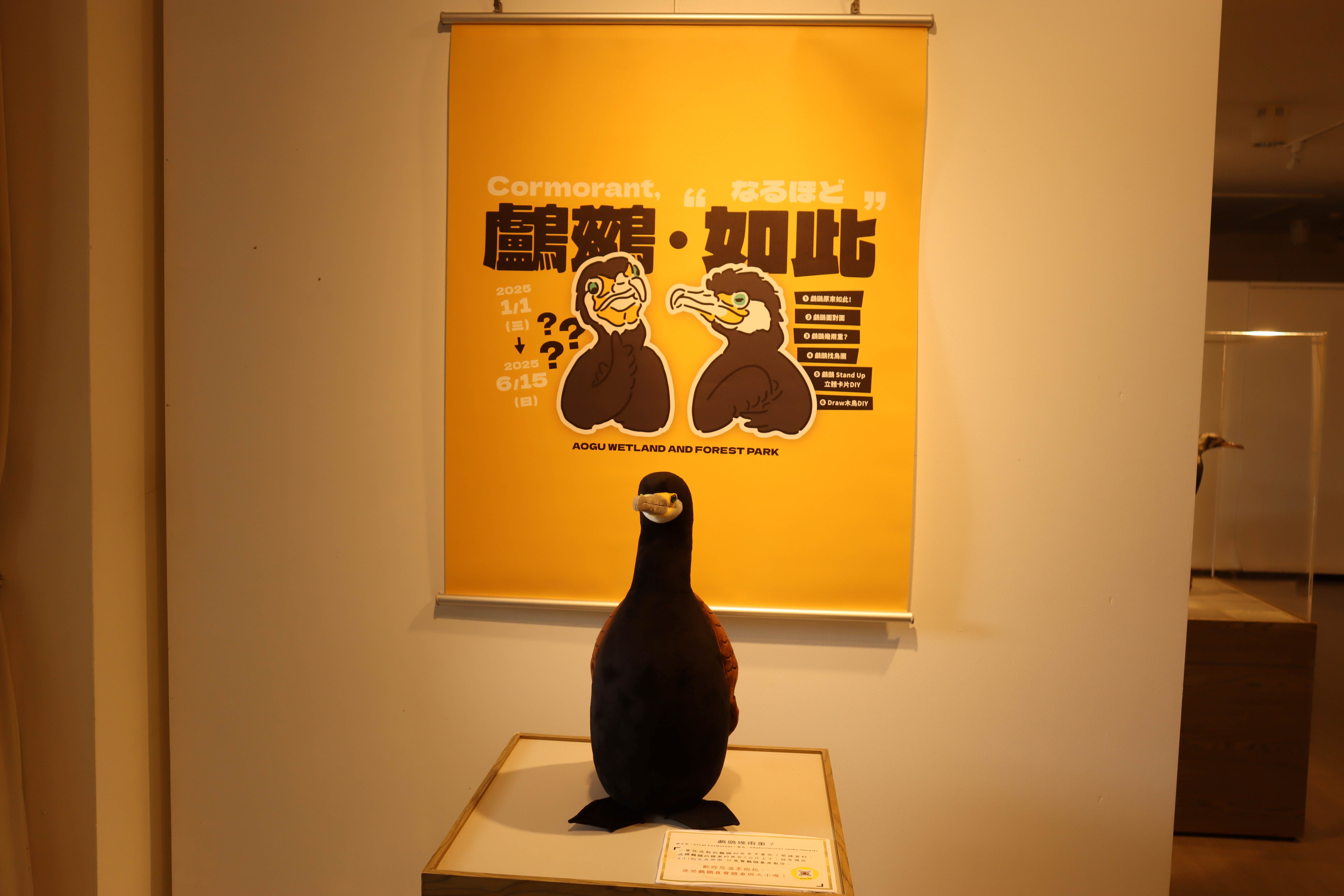 《鸕鷀．如此》：揭開鰲鼓濕地黑色大軍的神秘面紗