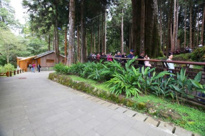 香林神木旁公廁及周邊景觀改善工程