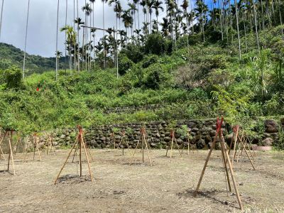 HP攜手林務局播下2022棵樹苗，為台灣山林盡心力。.