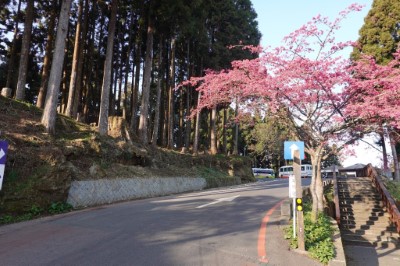 祝山林道沿線邊坡及路面改善工程