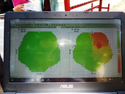 日本黑松應力波測圖，顯示健康無腐朽