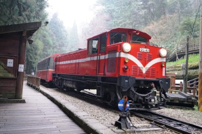 阿里山林業鐵路百年風采將由林鐵及文資處駛向未來