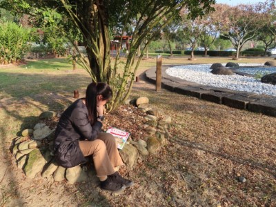 遊客仔細閱讀這棵樹的故事