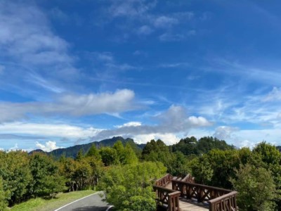 小笠原觀景平台賞雲