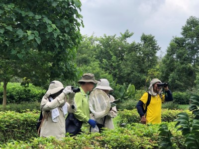 志工於觸口自然教育中心園區進行蝴調查1