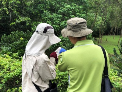 志工於觸口自然教育中心園區進行蝴調查