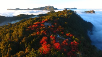 小笠原山楓紅、雲瀑