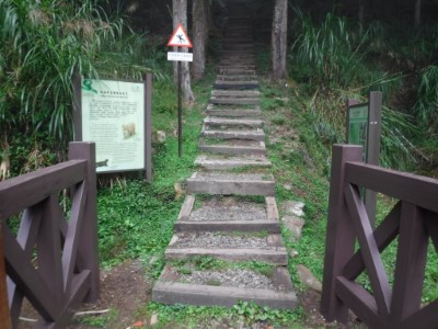 塔山步道階梯