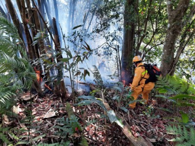 林務局森林護管員地面滅火1