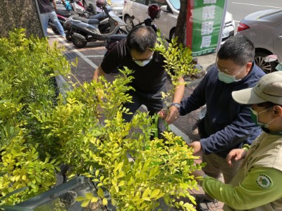 民眾捐血後挑選原生種苗木帶回家園