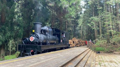 3月31日在林鐵文資處蒸汽火車的協助下，將完成水山線疏伐木材載運作業