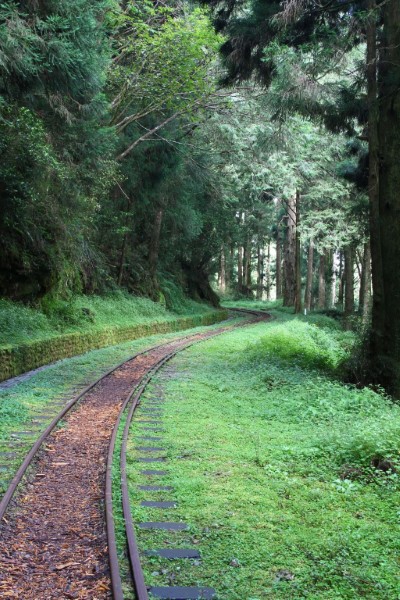 水山步道沿線林相搭配舊時鐵路，是遊樂區內不可錯過的森林療癒秘境