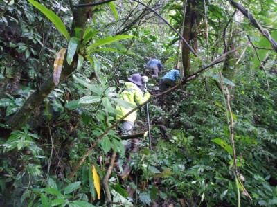 林地測量工作常需要扛著貴重儀器在陡坡上進行測量