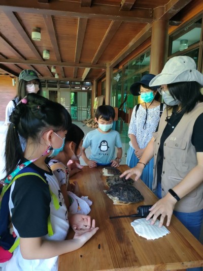 環教師帶學員觀察各式龜類骨骼標本，領略演化的神奇之處