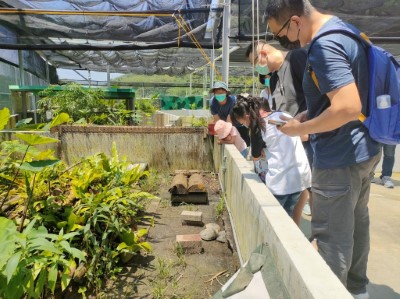 龜保園區模擬野外環境布置龜類棲息所，學員找尋生活在其中的食蛇龜