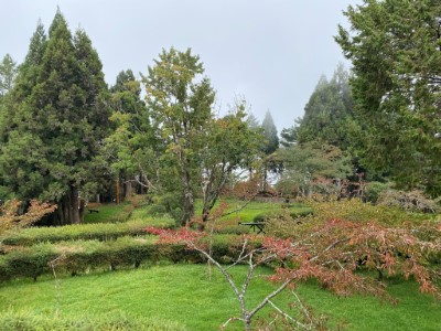 往小笠原觀景台途中必經的高山植物園是遊客喜愛的景點之一