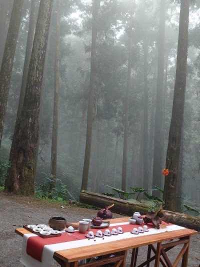 在雲霧繚繞宛如仙境的森林裡，利用嗅覺、味覺享受茶席