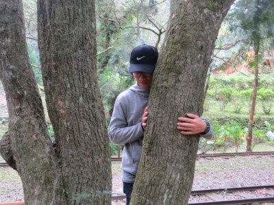 抱樹體驗是以觸覺感受樹木靜謐的力量