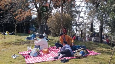 民眾於小笠原觀景平台欣賞完日出及楓紅後，一同至阿里山植物園草地上悠閒野餐