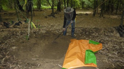 農民在烏殼綠竹林中挖洞鋪上防水布以營造諸羅樹蛙可繁殖的小水池