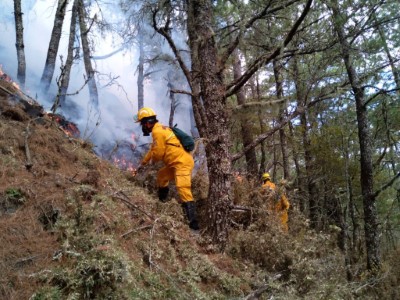 森林護管員在第一線救火時需面臨濃煙、高溫及崎嶇的地形