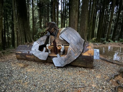 林業雕塑1-每木調查
