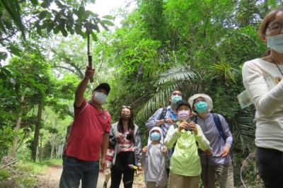 觸口自然教育中心帶領學員於森林中尋找樹頭上響徹雲霄的叫聲來源