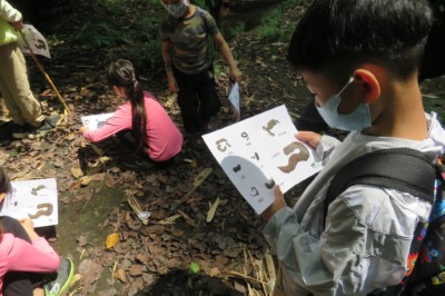 透過遊戲的引導，培養學員對自然環境動物痕跡的觀察力
