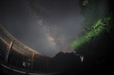 嘉義林管處與嘉義市天文協會攜手推出「夏季瘋銀河」天文生態體驗營