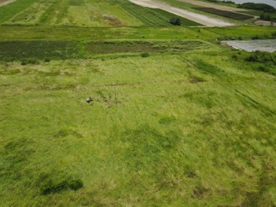 河灘地上一整片的草原及周邊鑲嵌的農田是草鴞喜愛使用的棲地