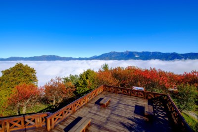 小笠原山觀景平台是阿里山國家森林遊樂區觀賞天文、地景絕佳地點（黃源明 攝）