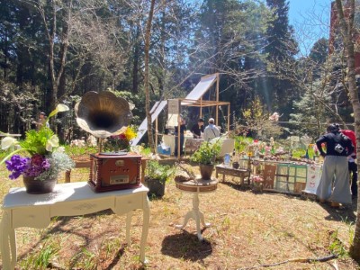 邁入第三年的「小森一點-森林手作市集」以花藝、手作課程及輕食帶給遊客阿里山不同的森林療癒感