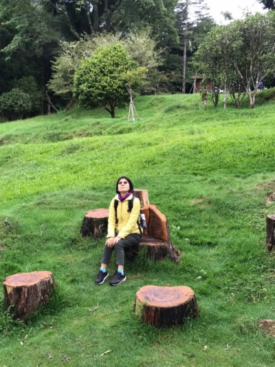 在阿里山高山植物園裡坐著靜靜聆聽及感受大自然的聲音