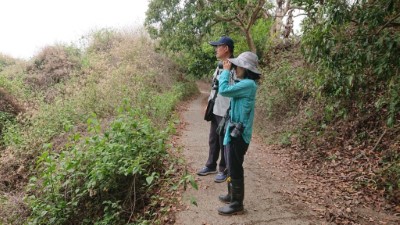 國家森林志工參與八色鳥系統化調查(112.5.13；拍攝者：王昶欣)。