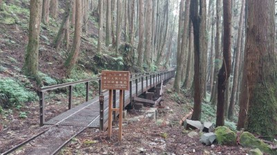 林業保育署嘉義分署提醒欲前往特富野古道的遊客，應注意山上溫差及旅遊安全，才能享受一場愉快的身心靈之旅