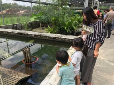 除自然教育中心活動，也結合觸口歸類保育教育園區，帶領學員近距離認識臺灣原生龜類