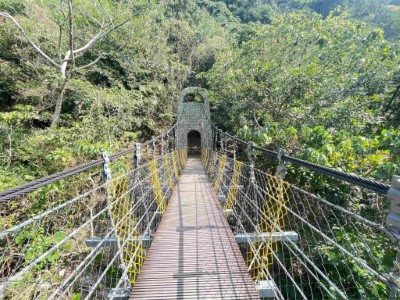 1號吊橋完成整修，提供民眾更安全的山林步行環境.jpg